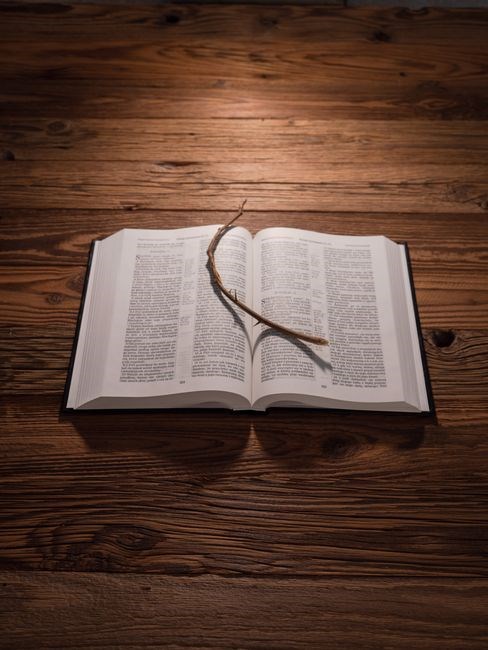 the reason for god pdf